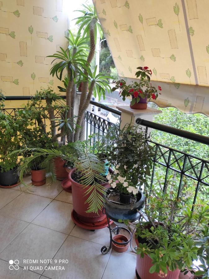 Apartment Aktys Elegant Studio, Athens